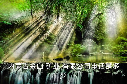巴爾虎右旗新鑫礦業有限公司