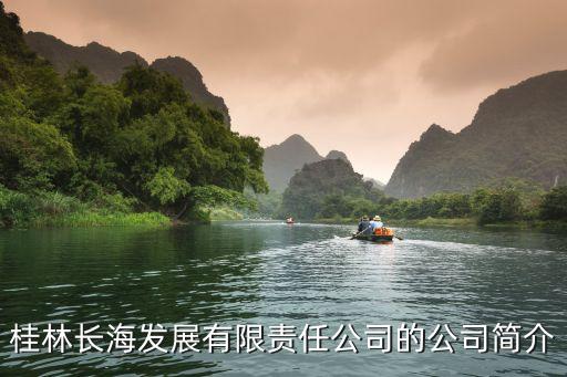 桂林長海發展有限責任公司的公司簡介