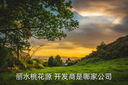 內蒙古大和房地產開發有限公司,泰安市大和房地產開發有限公司