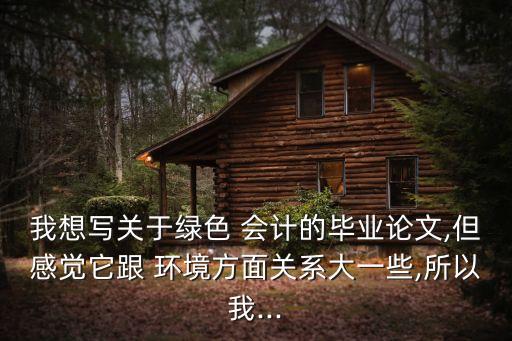 中國石油環境會計