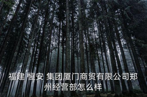 福建 恒安 集團廈門商貿有限公司鄭州經營部怎么樣