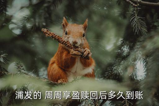 浦發的 周周享盈贖回后多久到賬