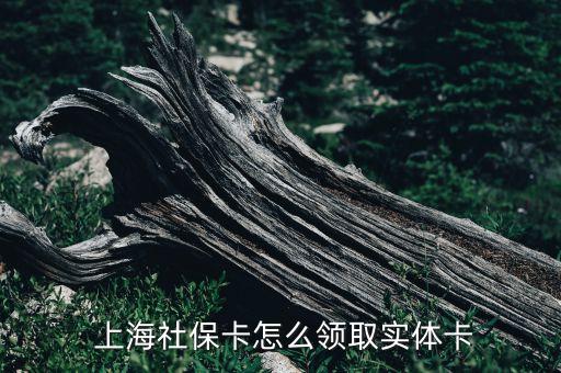 上海領醫保卡的地方,上海醫保卡可以在其他地方用嗎
