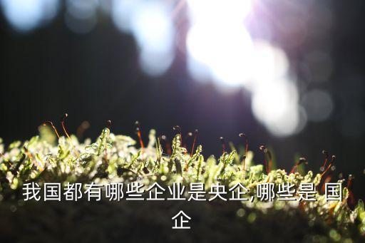 我國都有哪些企業是央企,哪些是 國企