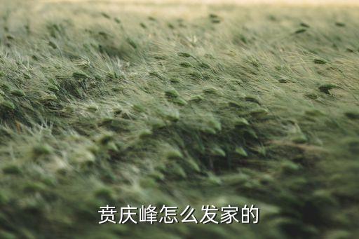 賁慶峰怎么發家的