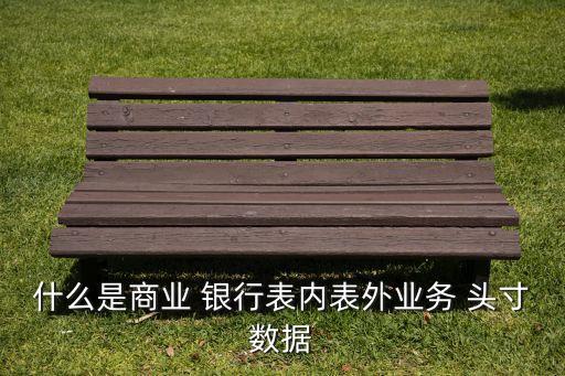什么是商業 銀行表內表外業務 頭寸數據