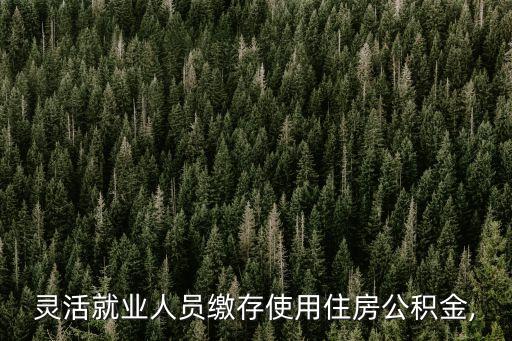 靈活就業人員繳存使用住房公積金,