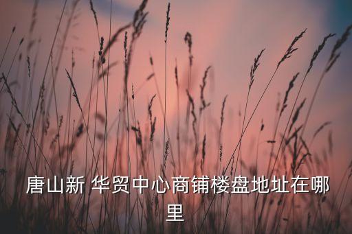  唐山新 華貿中心商鋪樓盤地址在哪里