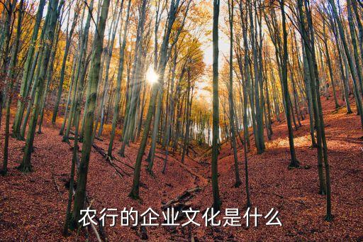 中國農業銀行ipo案例分析