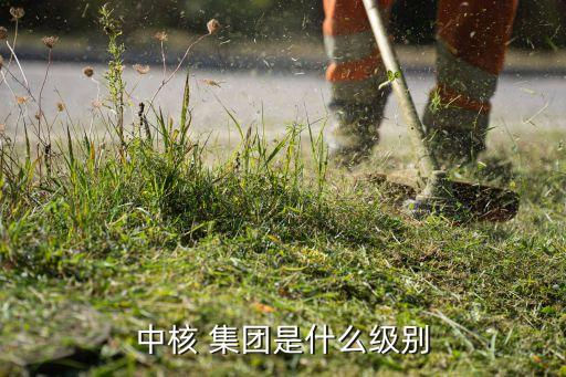 核工業南京建設集團有限公司是國企嗎,南京核工業華興建設有限公司
