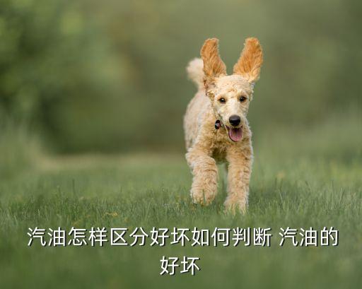  汽油怎樣區分好壞如何判斷 汽油的好壞