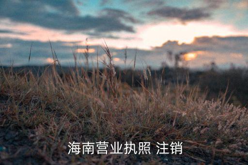  海南營業執照 注銷