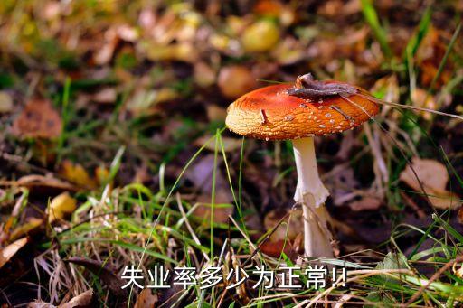 2015年中國失業率