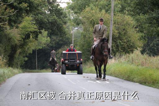 南匯區被 合并真正原因是什么