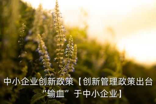 中小企業創新政策【創新管理政策出臺“輸血”于中小企業】