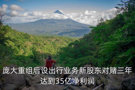 龐大重組后設出行業務新股東對賭三年達到35億凈利潤