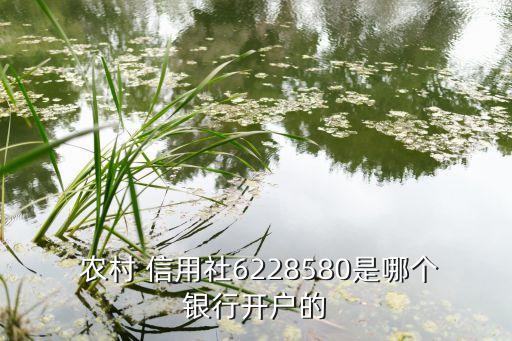 農村信用社股票代碼,廣西農村信用社股票代碼