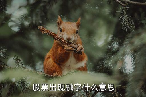  股票出現融字什么意思