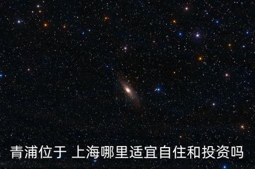 上海張江十三五規劃