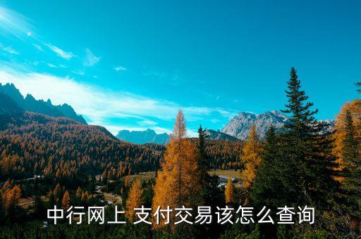 中行網上 支付交易該怎么查詢