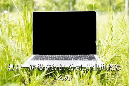 想開一家模特經紀 公司,營業執照怎么辦