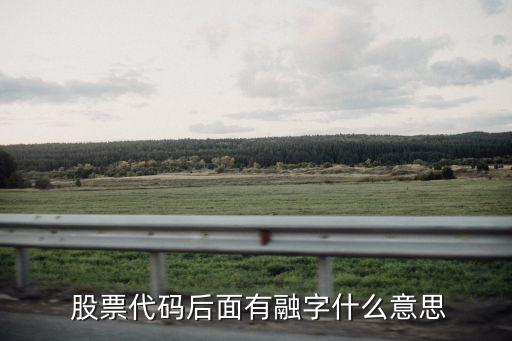 股票后面的融是什么意思,帶融和不帶融股票區別