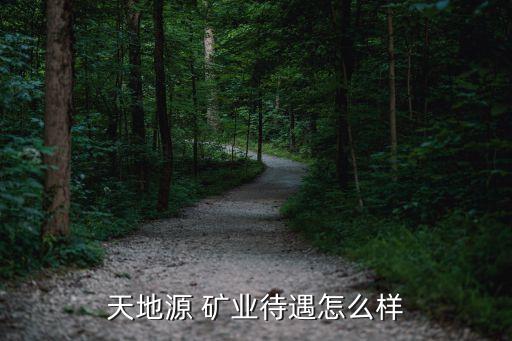 宏泰礦業有限公司,巴里坤宏泰礦業有限公司