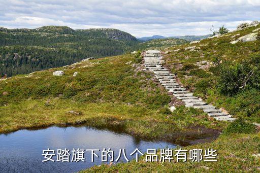 體育用品行業上市公司,生產體育用品的上市公司