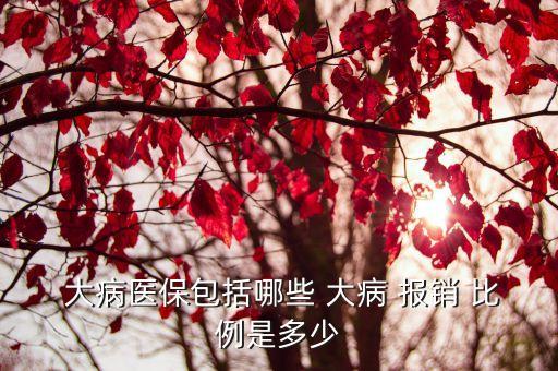 北京大病醫療保險報銷比例,農村醫療保險大病報銷比例是多少錢
