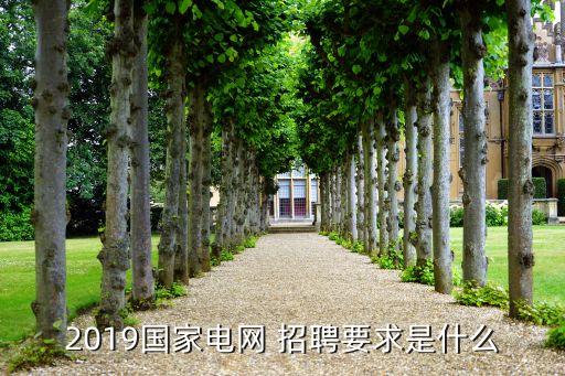 2019國家電網 招聘要求是什么