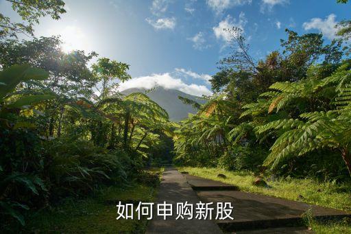 股票上網發行,股票發行的目的