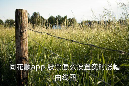 在線股票資產動態曲線圖