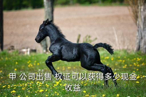 公司權證,貸款公司權證