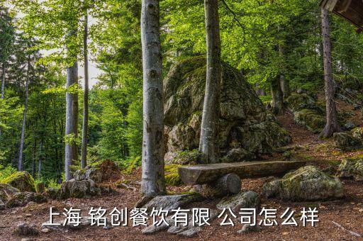 上海 銘創餐飲有限 公司怎么樣