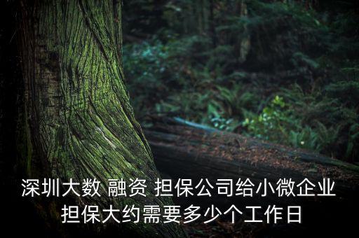 深圳大數 融資 擔保公司給小微企業 擔保大約需要多少個工作日