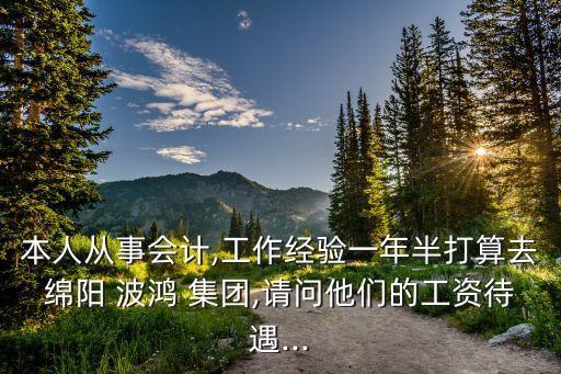 本人從事會計,工作經驗一年半打算去綿陽 波鴻 集團,請問他們的工資待遇...