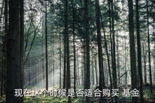 廣發強債基金凈值