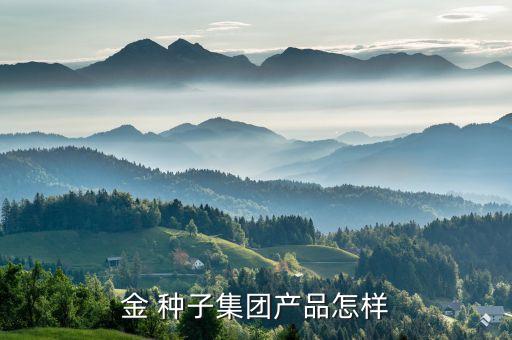 金 種子集團產品怎樣