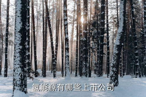 索普集團招聘信息,鎮江諫壁索普集團招聘