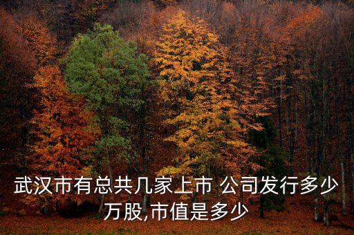 武漢市有總共幾家上市 公司發行多少萬股,市值是多少