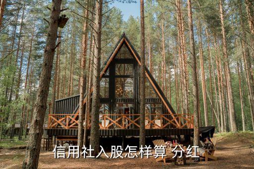 寧夏農村商業銀行股金分紅,延邊農村商業銀行股金分紅了嗎