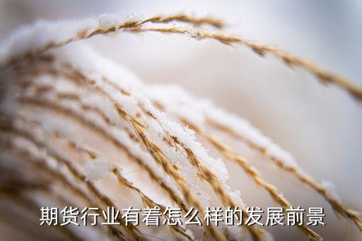  期貨行業有著怎么樣的發展前景