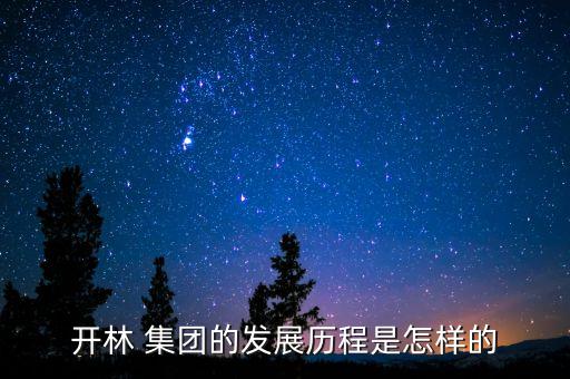 開林 集團的發展歷程是怎樣的