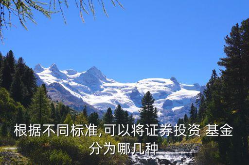 基金的分類依據,基金代碼怎么分類