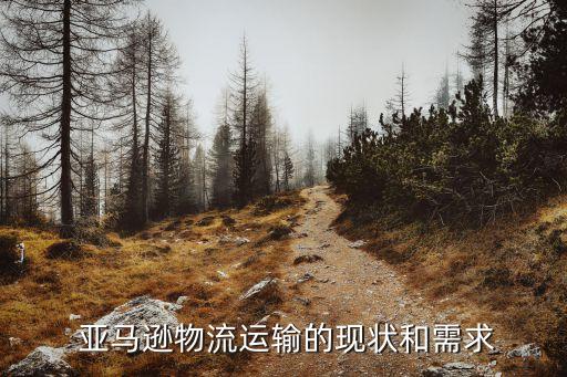  亞馬遜物流運輸的現狀和需求
