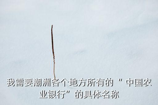 中國農業銀行百色新廣支行