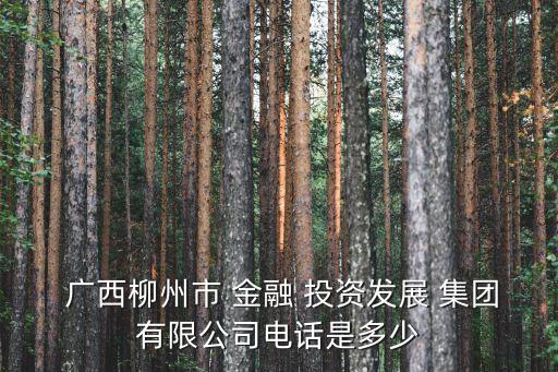  廣西柳州市 金融 投資發展 集團有限公司電話是多少