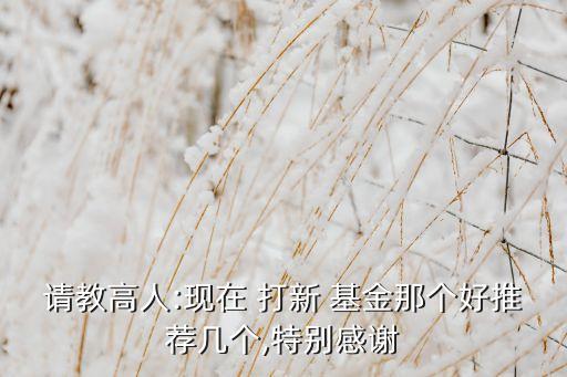 請教高人:現在 打新 基金那個好推薦幾個,特別感謝