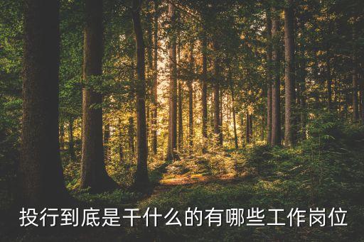 棚改基金屬于投行業務嗎,基金公司屬于投行嗎