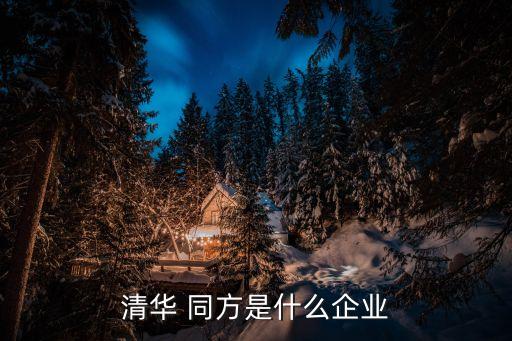 清華 同方是什么企業